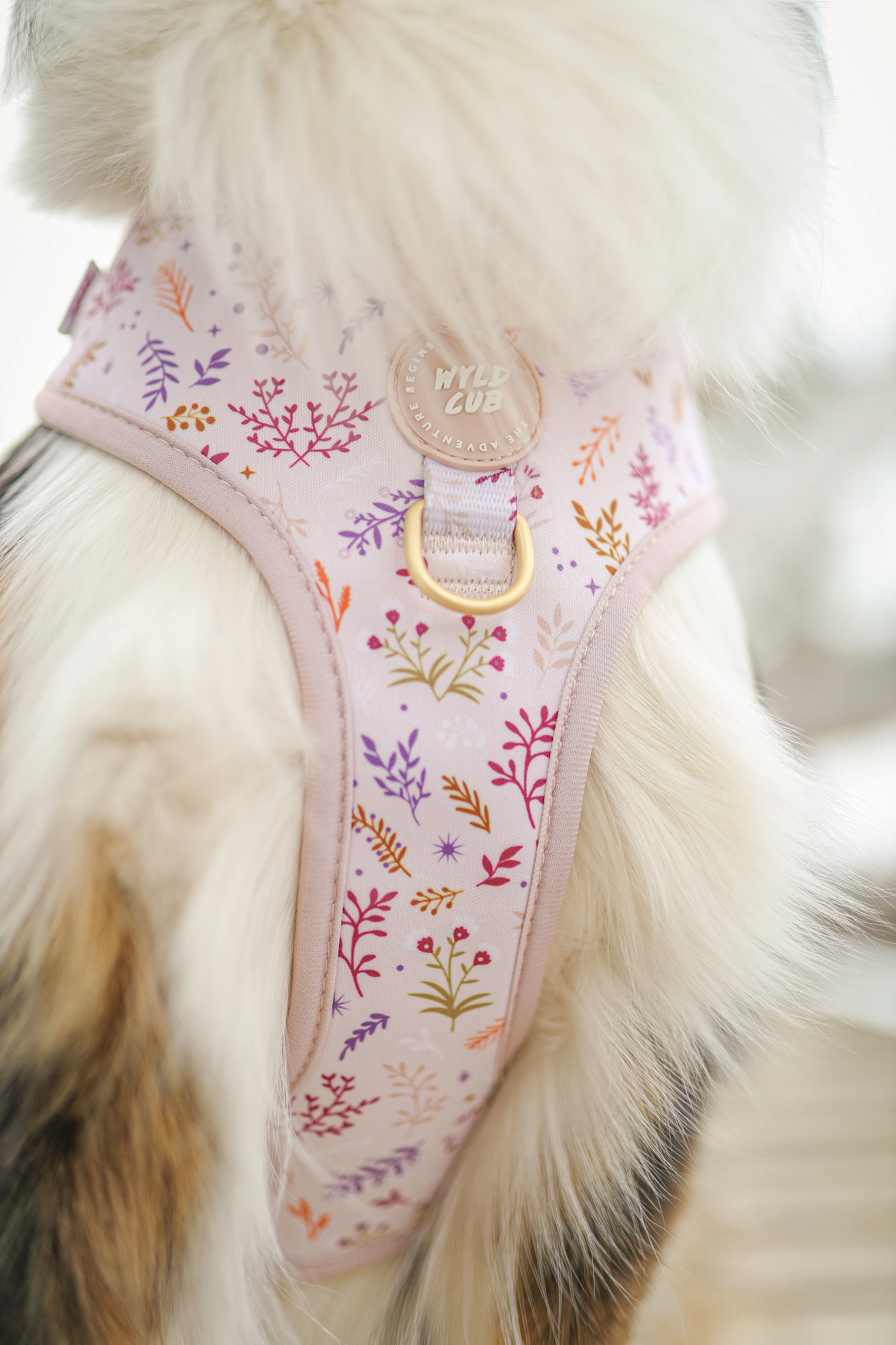 Adjustable Dog Harness: Chiswick Oyster