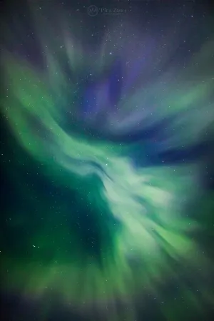 Boreal Dance