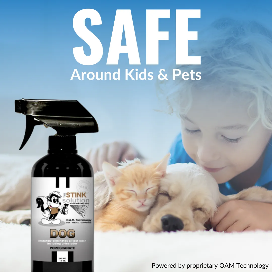 Buy 3 Get Sample Bundle FREE - 1 Coconut Mango (16 oz), 1 Cat (16 oz), 1 Dog (16 oz), 1 Tranquility (4 oz),   1 Unscented Mini Laundry Booster | Odor Eliminating Spray