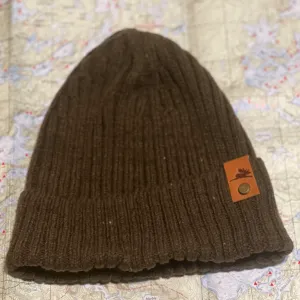 BWCA Flying Moose Merino Wool Beanie