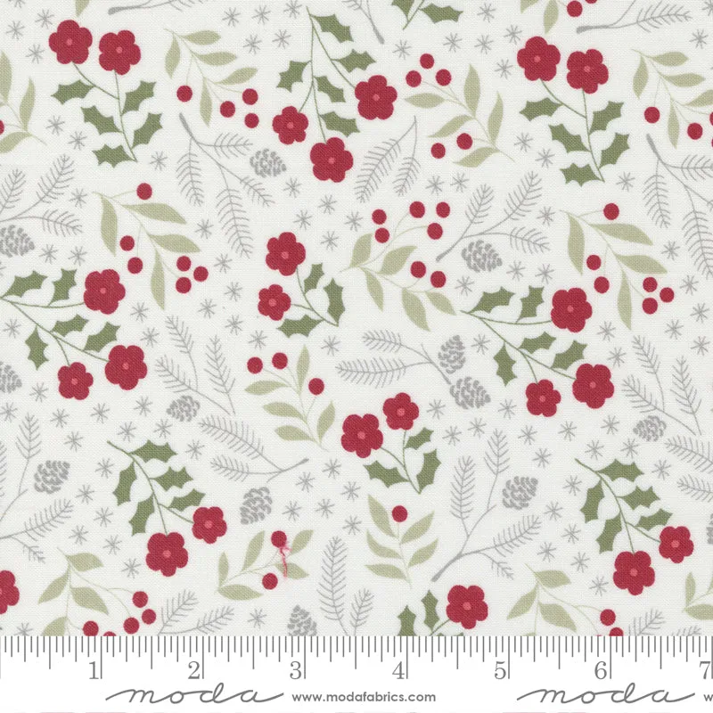 Christmas Eve, Winter Botanical Snow