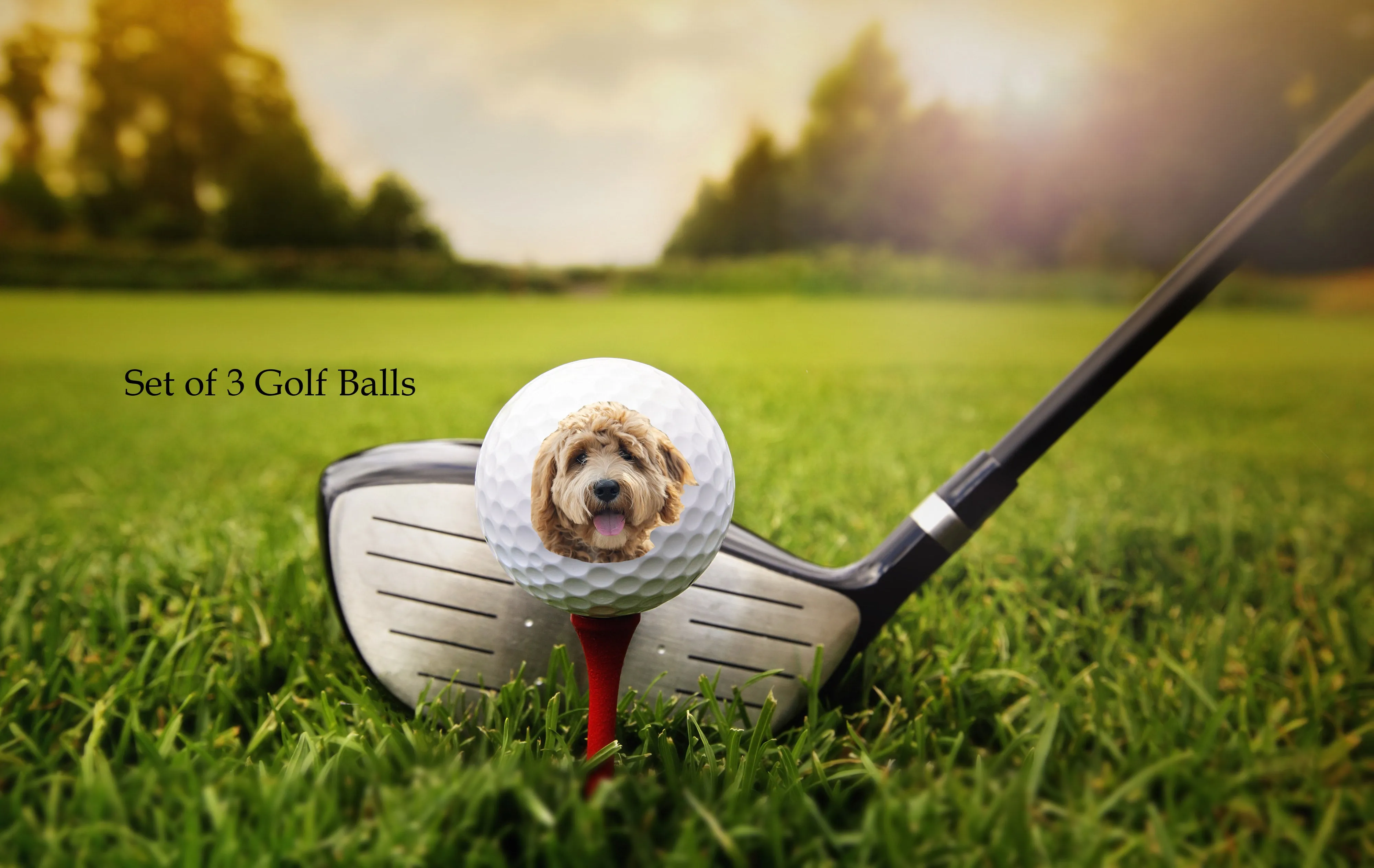 Face balls - Your face on a golf ball, set of 3 Custom golf balls