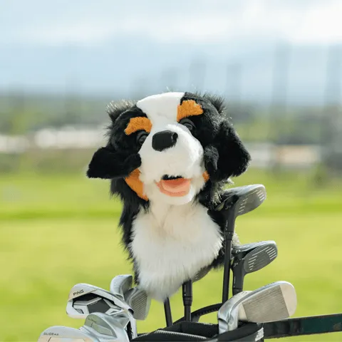 HEADCOVER DRIVER DAPHNES