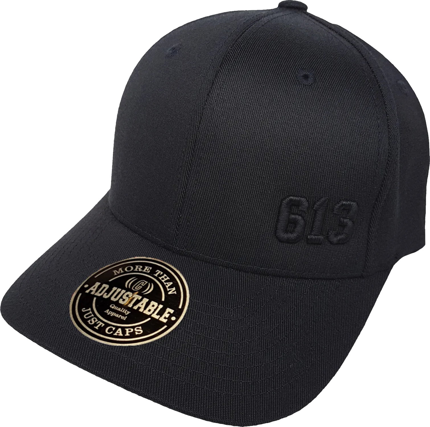 Ottawa Cap Represent 613 Crisp Blackout Adjustable Cap