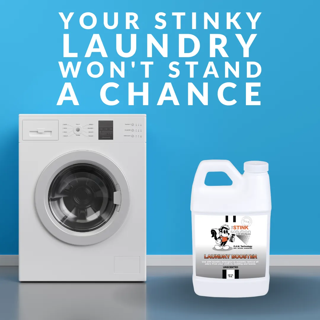 Sample Bundle - 1 Unscented Mini Laundry Booster, 1 Kitchen Odor Eliminator 4 oz (Sugar Cookie Fragrance)   1 Car Air Freshener