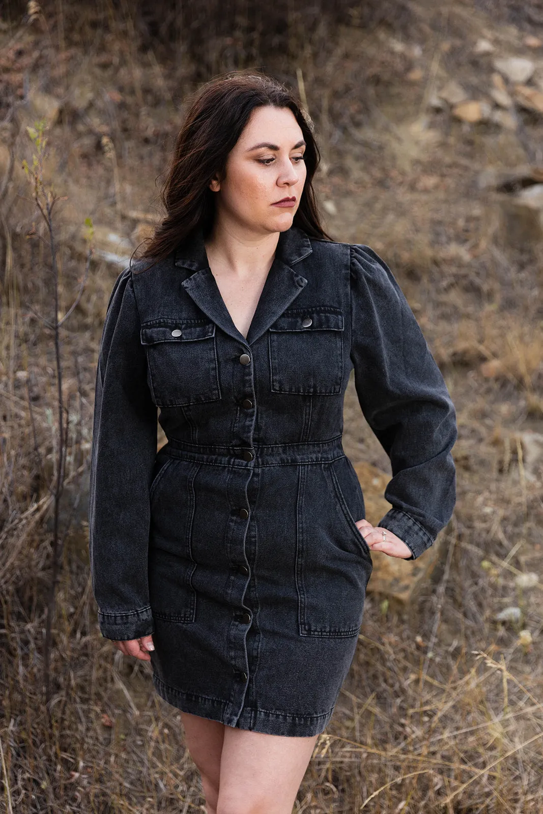 Stevie Denim Dress