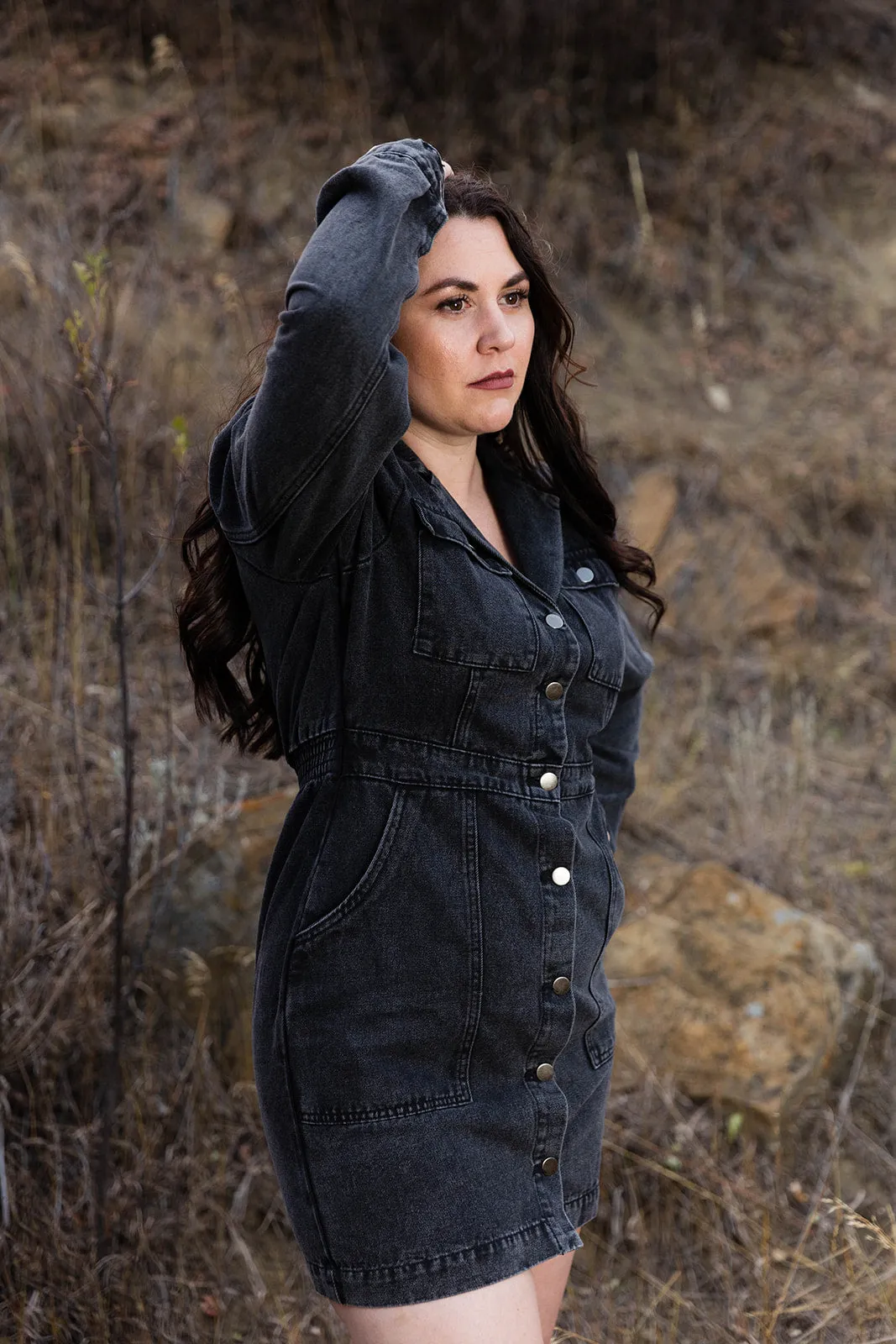 Stevie Denim Dress
