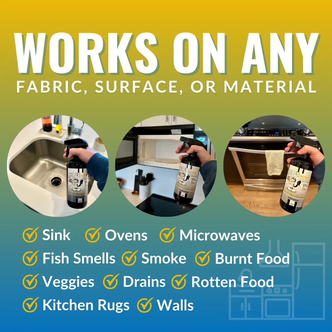 Super Sample Bundle - 2 Mini Laundry Boosters, Two 4 oz Kitchen Refresh Odor Eliminating Sprays   2 Car Air Fresheners