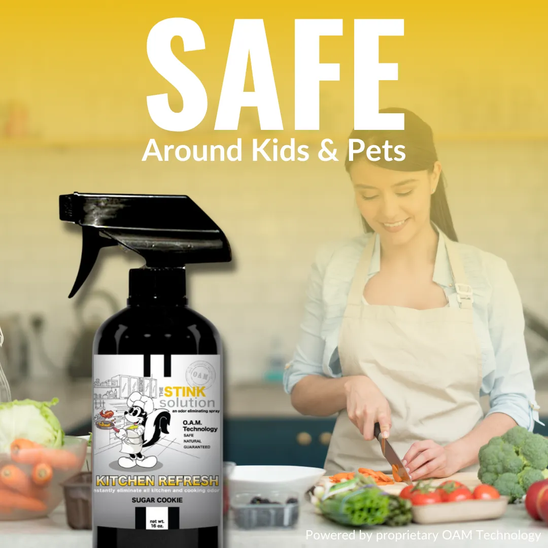 Super Sample Bundle - 2 Mini Laundry Boosters, Two 4 oz Kitchen Refresh Odor Eliminating Sprays   2 Car Air Fresheners