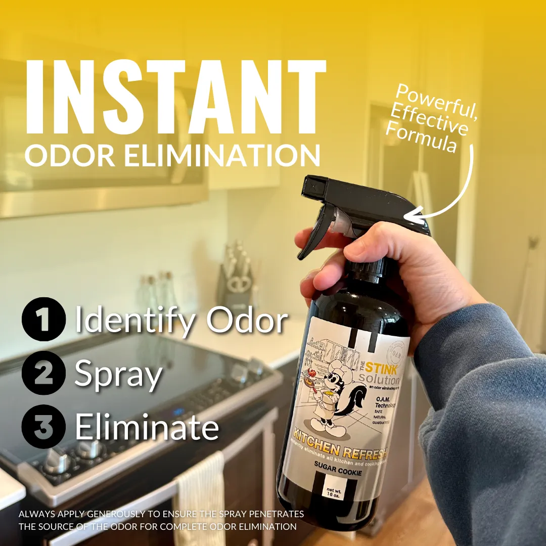 Super Sample Bundle - 2 Mini Laundry Boosters, Two 4 oz Kitchen Refresh Odor Eliminating Sprays   2 Car Air Fresheners