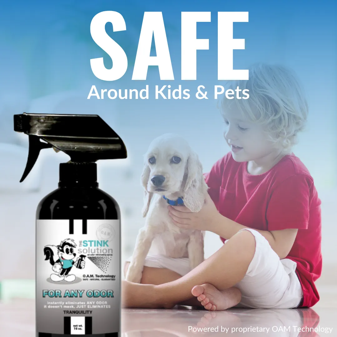 Super Sample Bundle - Two Unscented Mini Laundry Boosters   Two 4 oz For Any Odor Eliminator Sprays