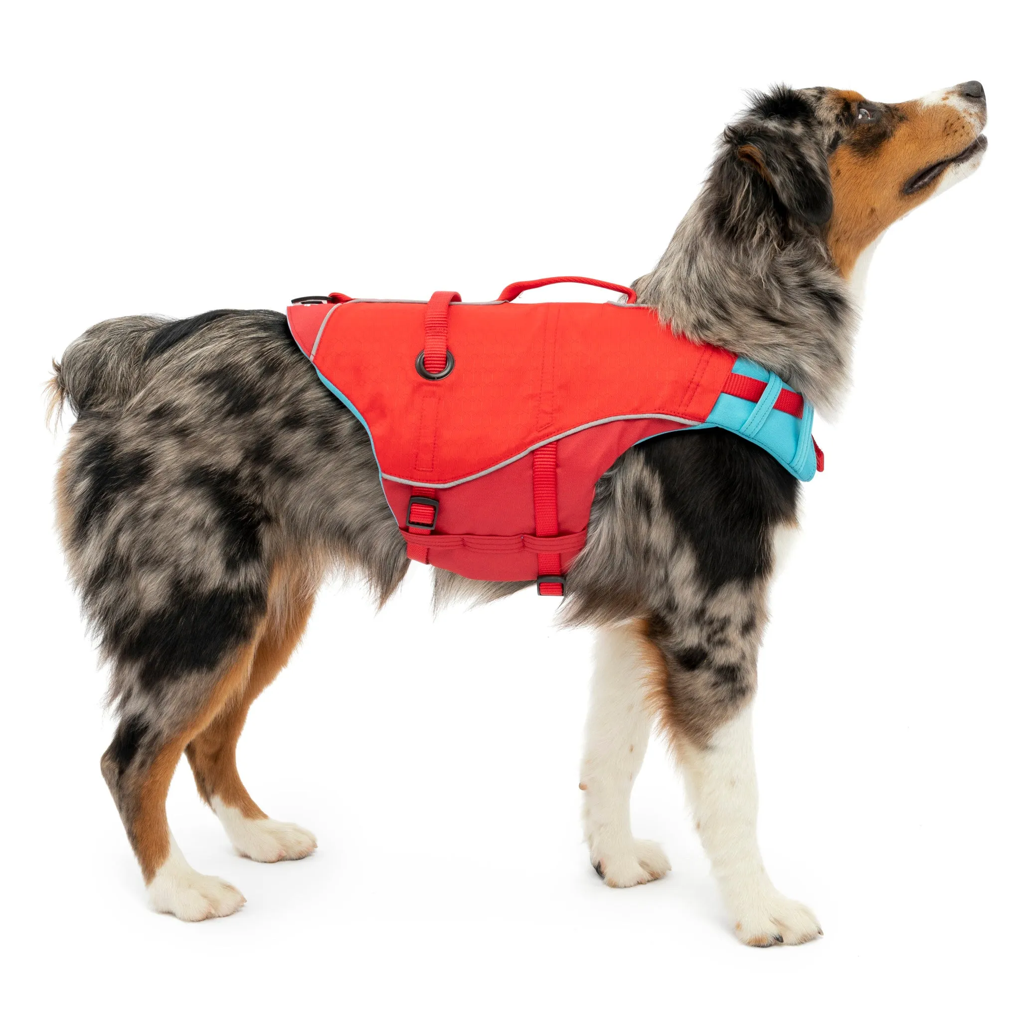 Surf N Turf Dog Life Jacket