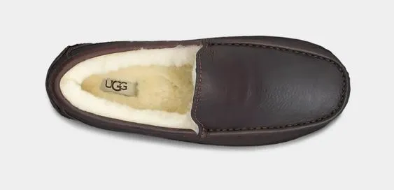 UGG- MEN'S ASCOT SLIPPER