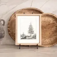 Vintage Framed Prints