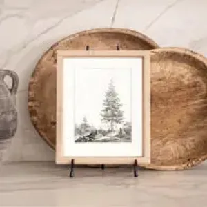 Vintage Framed Prints