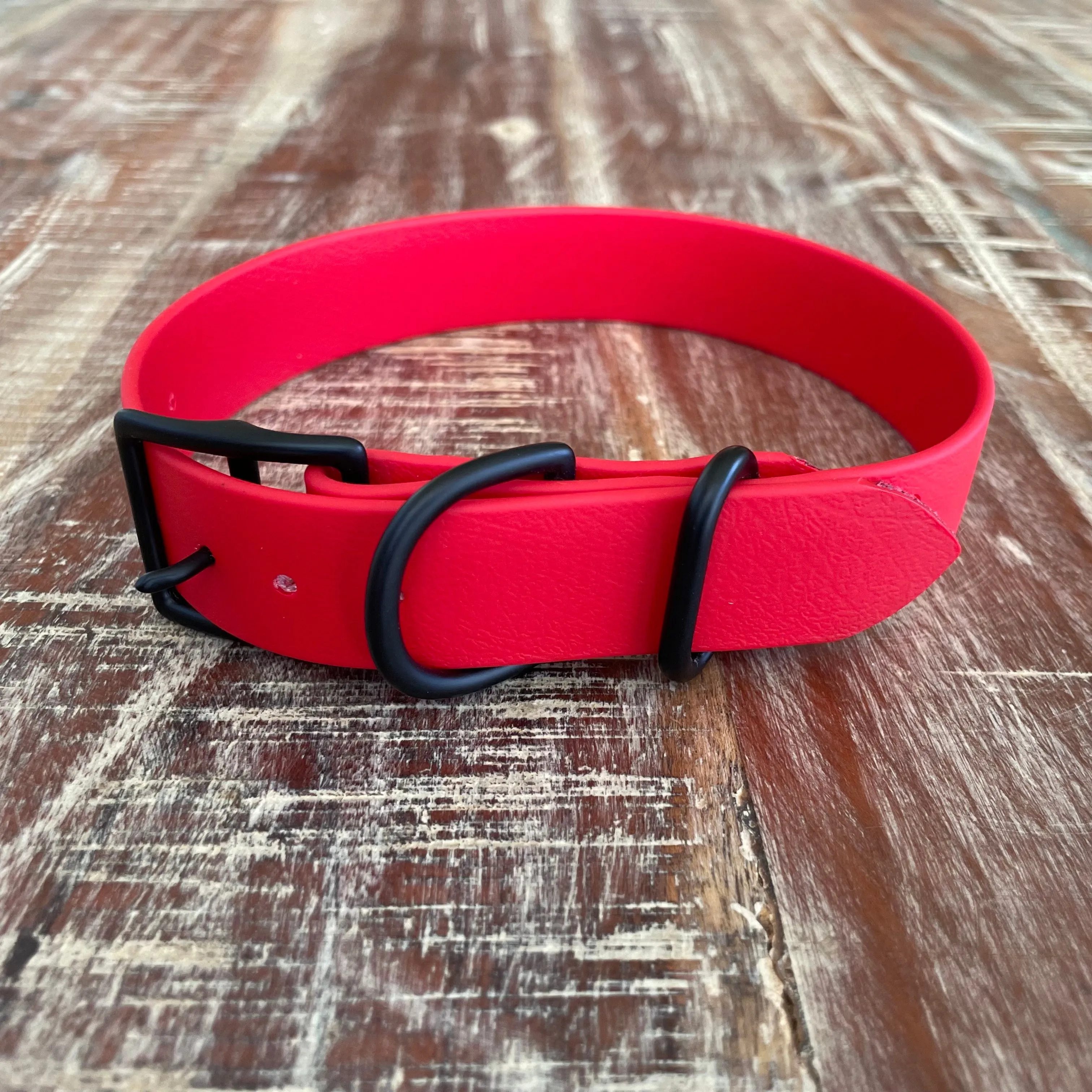 Waterproof Buckle Collar : Cherry   Black
