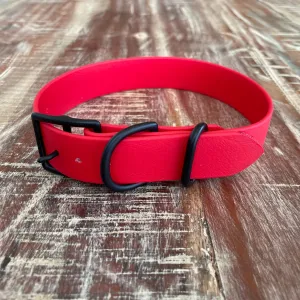 Waterproof Buckle Collar : Cherry   Black