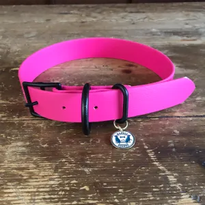 Waterproof Buckle Collar : Neon Pink   Black