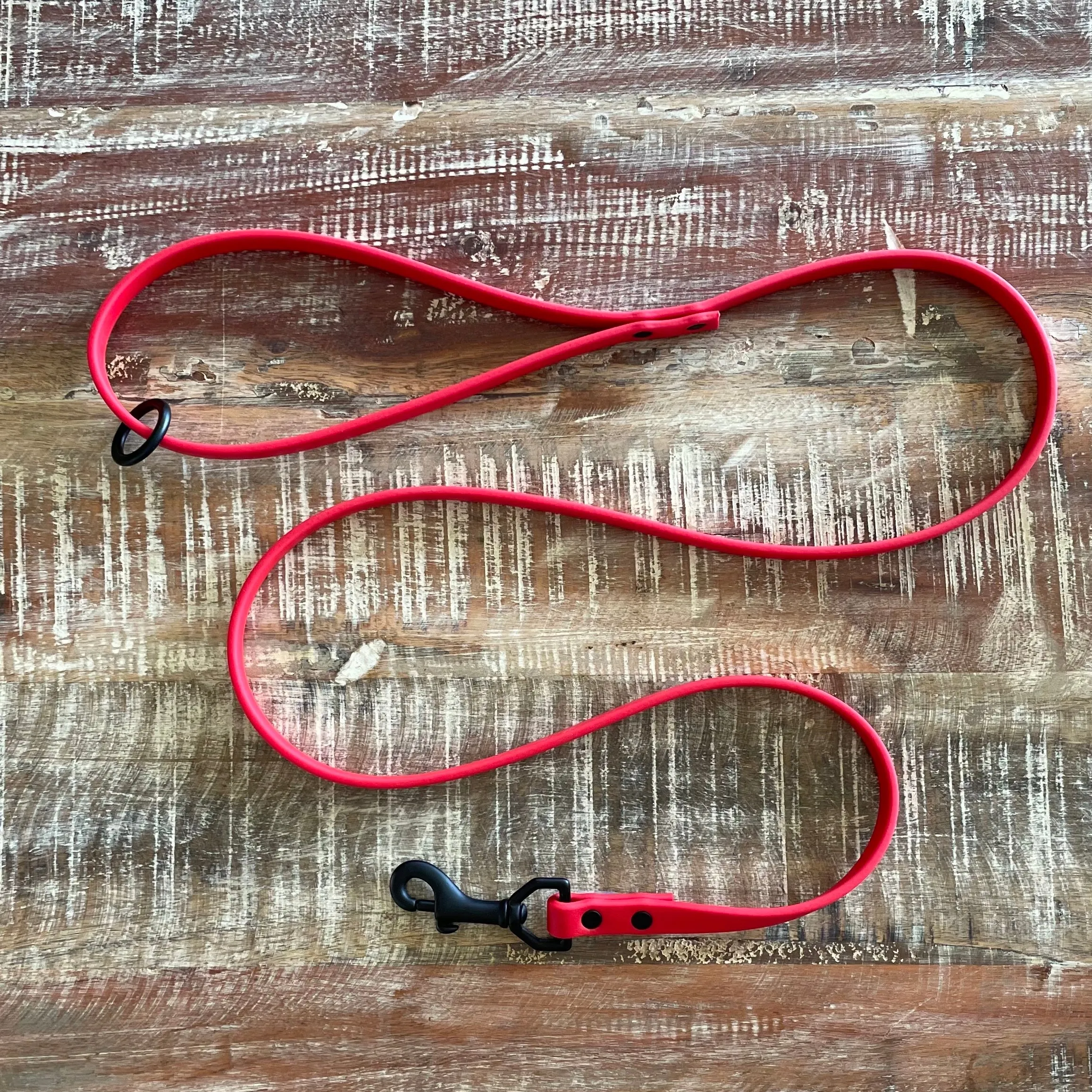 Waterproof Leash : Cherry   Black