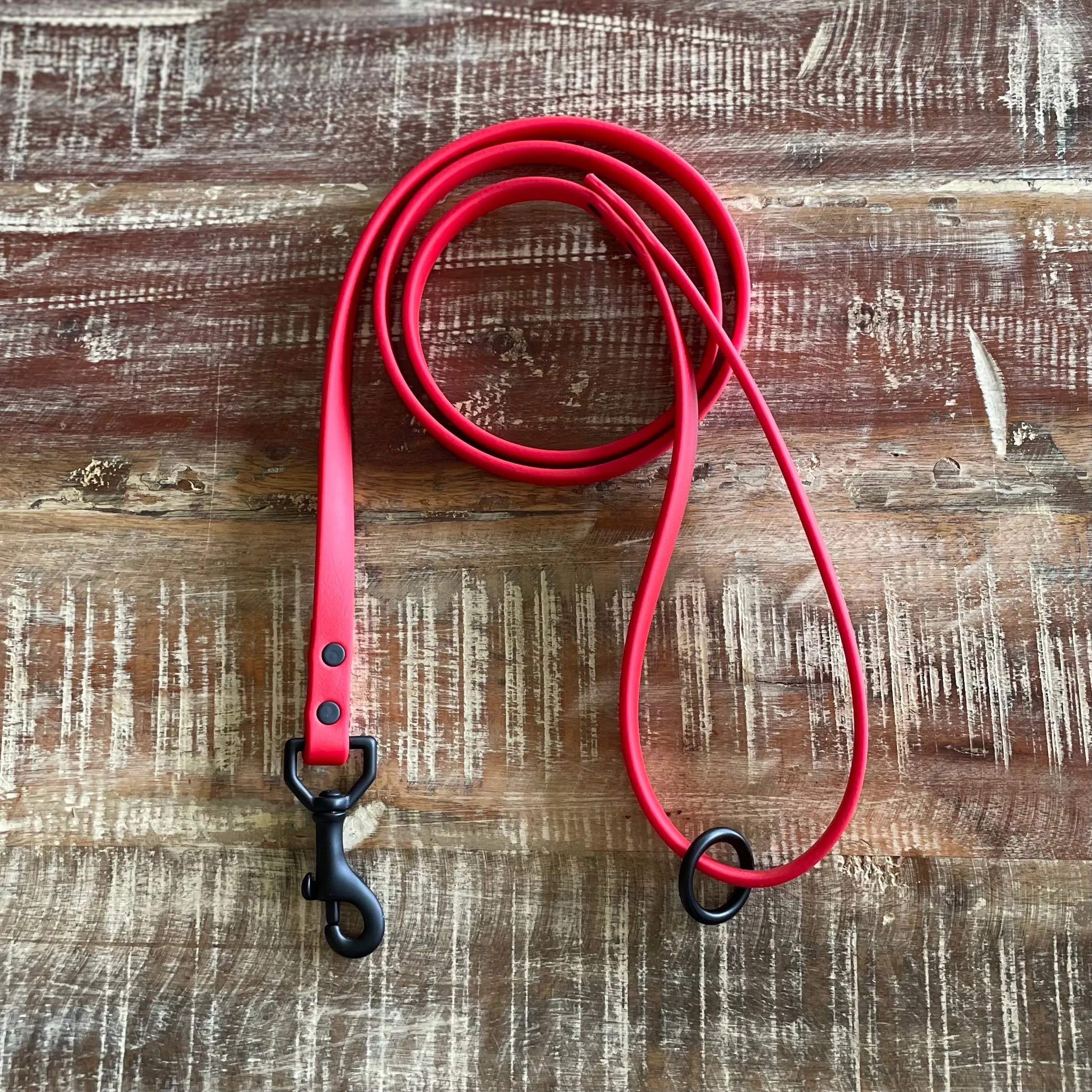 Waterproof Leash : Cherry   Black