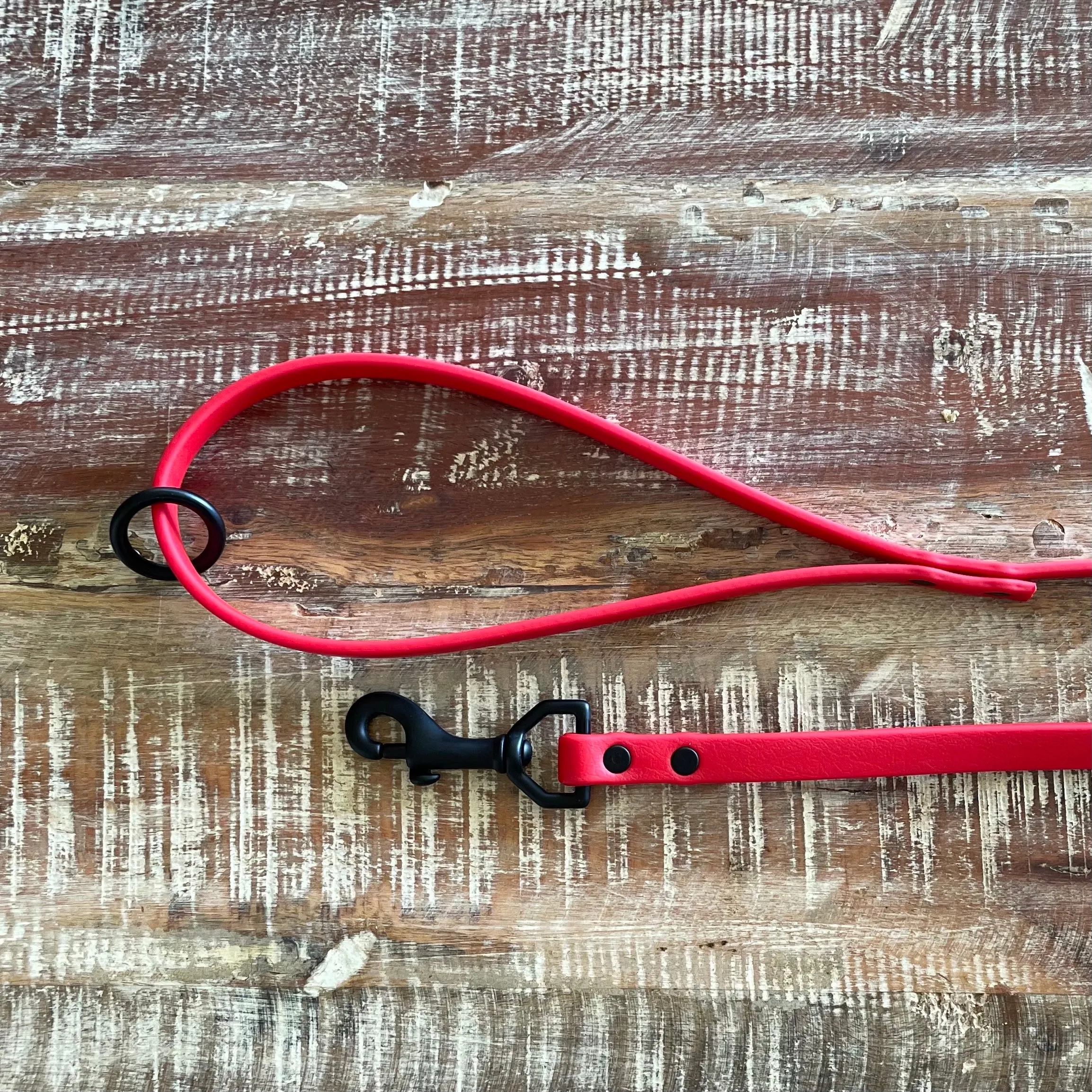Waterproof Leash : Cherry   Black