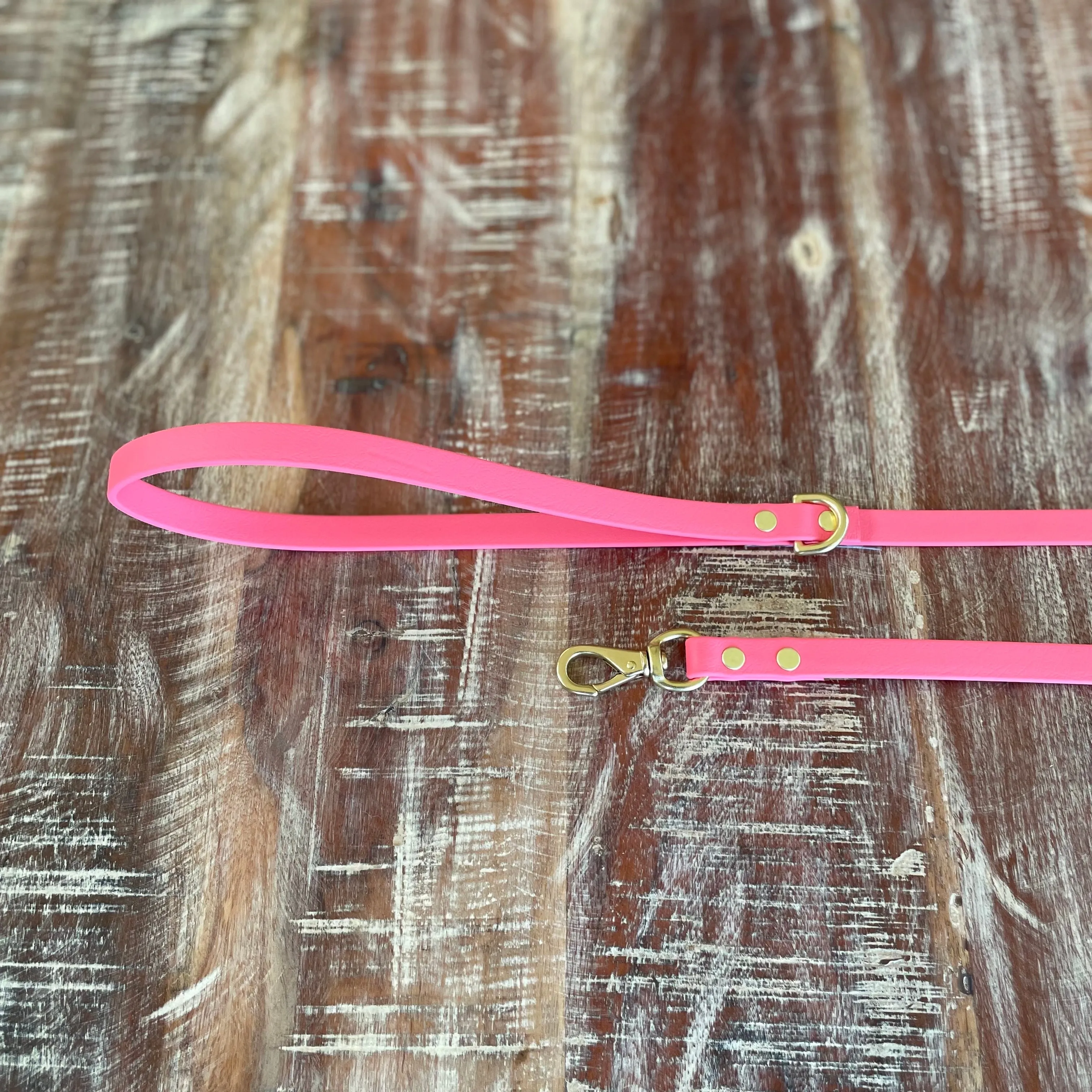 Waterproof Leash (Lightweight) : Coral   Brass