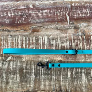 Waterproof Leash (Lightweight) : Teal   Black