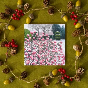 Winter Viburnum Card