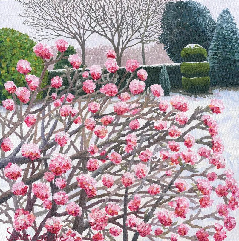Winter Viburnum Card